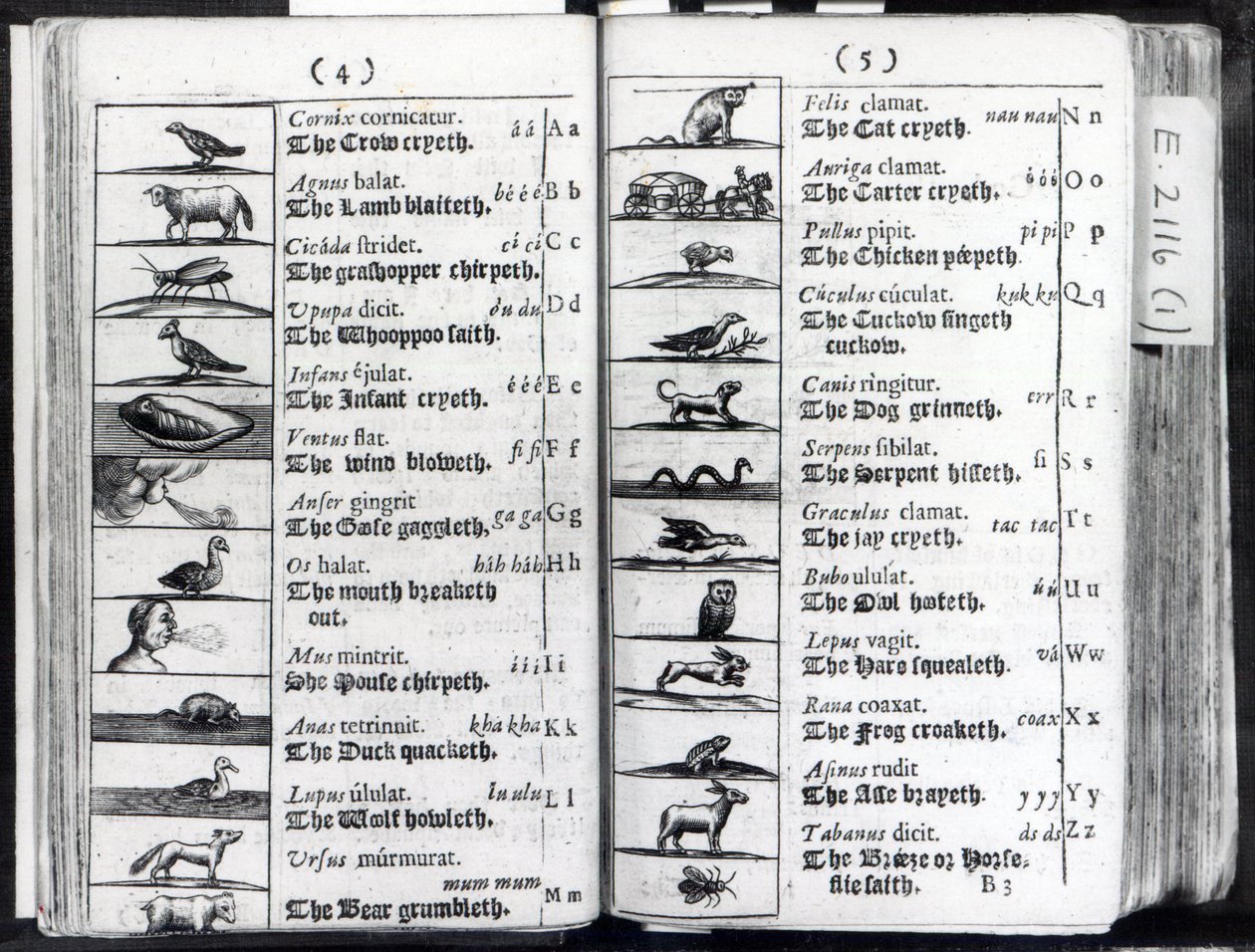 صفحتان من World Sensualium Pictus Comenius ، 1659 بواسطة مدرسة اللغة الإنجليزية