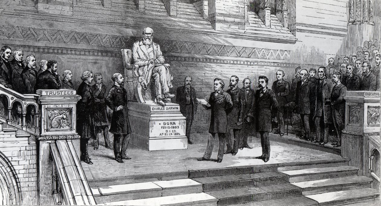 الكشف عن تمثال الراحل تشارلز داروين في متحف التاريخ الطبيعي ، جنوب كنسينغتون ، 9 يونيو 1885 بواسطة مدرسة اللغة الإنجليزية