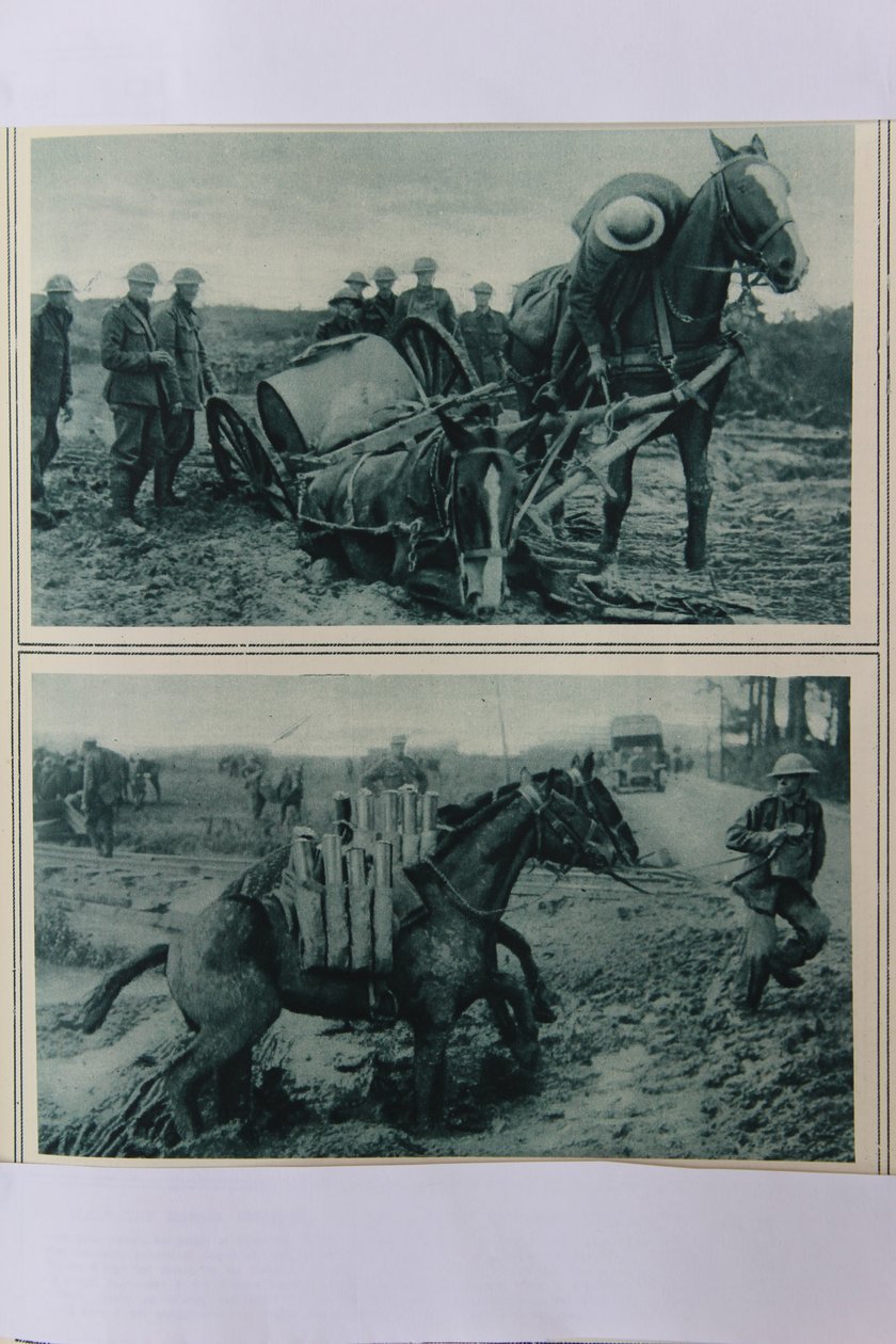 خيول الحرب تغرق في الوحل ، شمال فرنسا ، أغسطس 1917 بواسطة مدرسة اللغة الإنجليزية