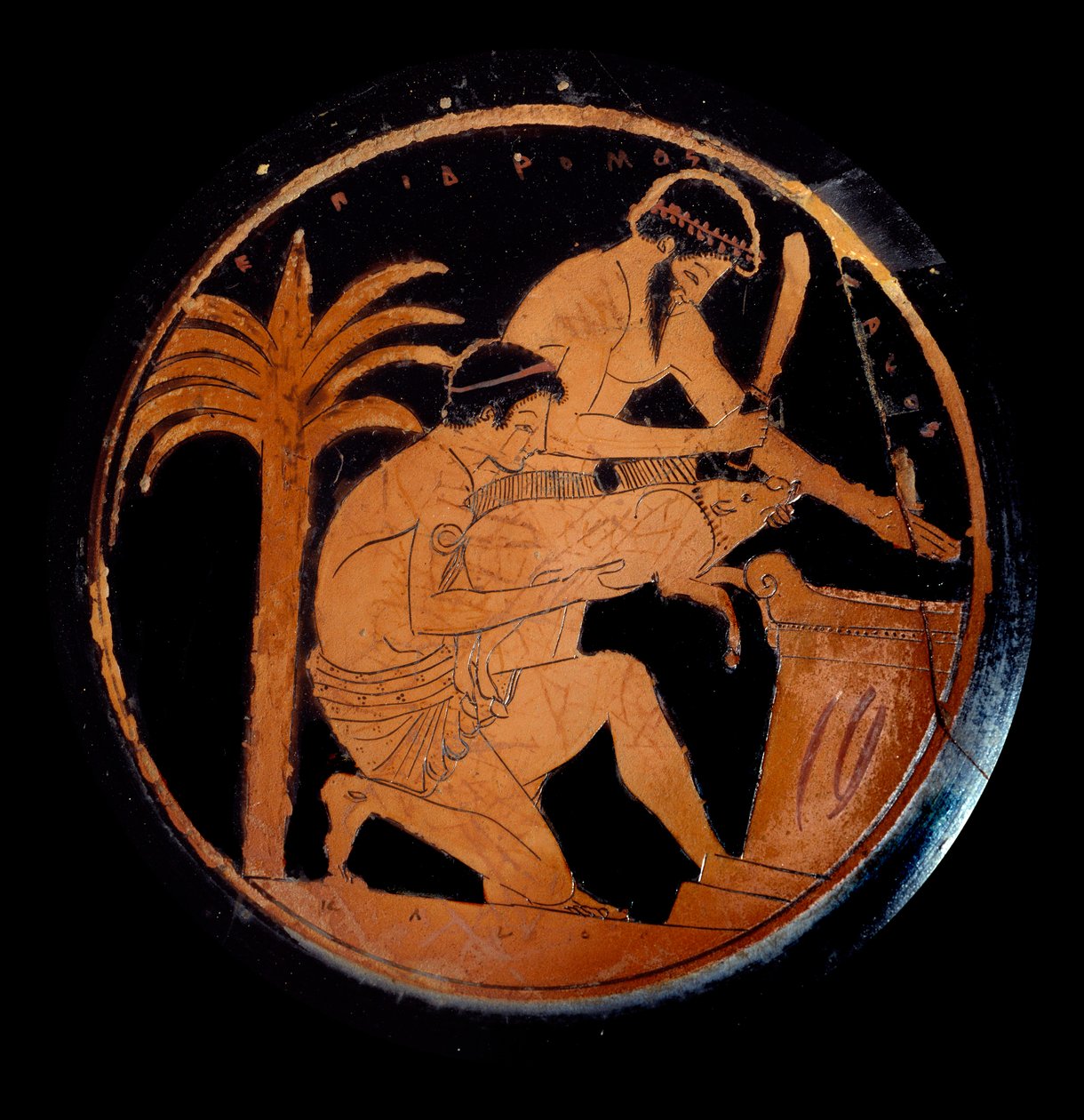 Greek art: cup with red figures in ceramic, medallion: sacrifice of a pig on an altar during a religious rite. Made by the painter of Epidromos. 500 BC. Paris, Louvre Museum بواسطة Epidromos رسام