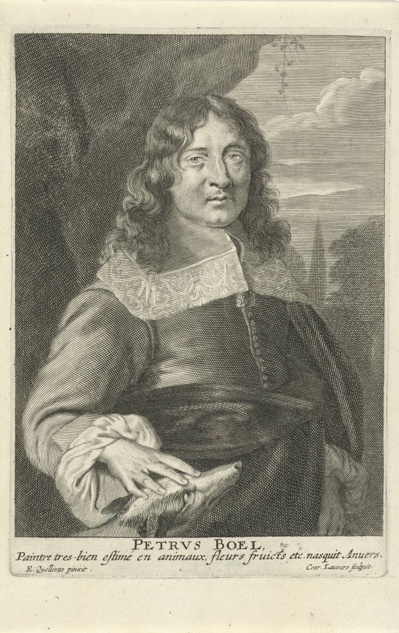 بيتر بويل ، نقش كونراد لويرز ، 1649-162 (نقش) بواسطة ايراسموس (بعد) كولينوس