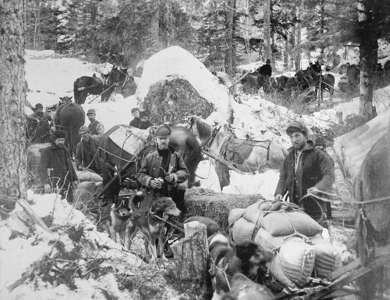 المنقبون يصعدون Porcupine Hill على Skagway Trail ، ألاسكا ، خلال كلوندايك جولد راش (1897-98) 1898 (صورة b / w) بواسطة إريك أ هيغ