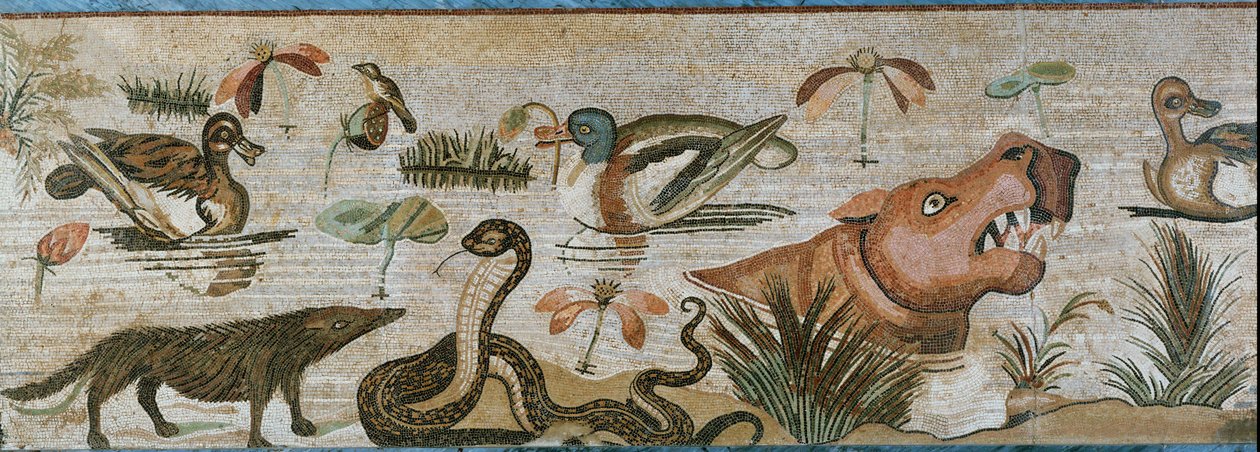 الحيوانات المائية والحيوانات الأخرى بواسطة إريك ليسينج