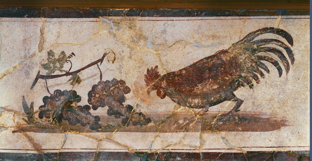 الديك والعنب، هيركولانيوم، إيطاليا (لوحة جدارية) بواسطة إريك ليسينج