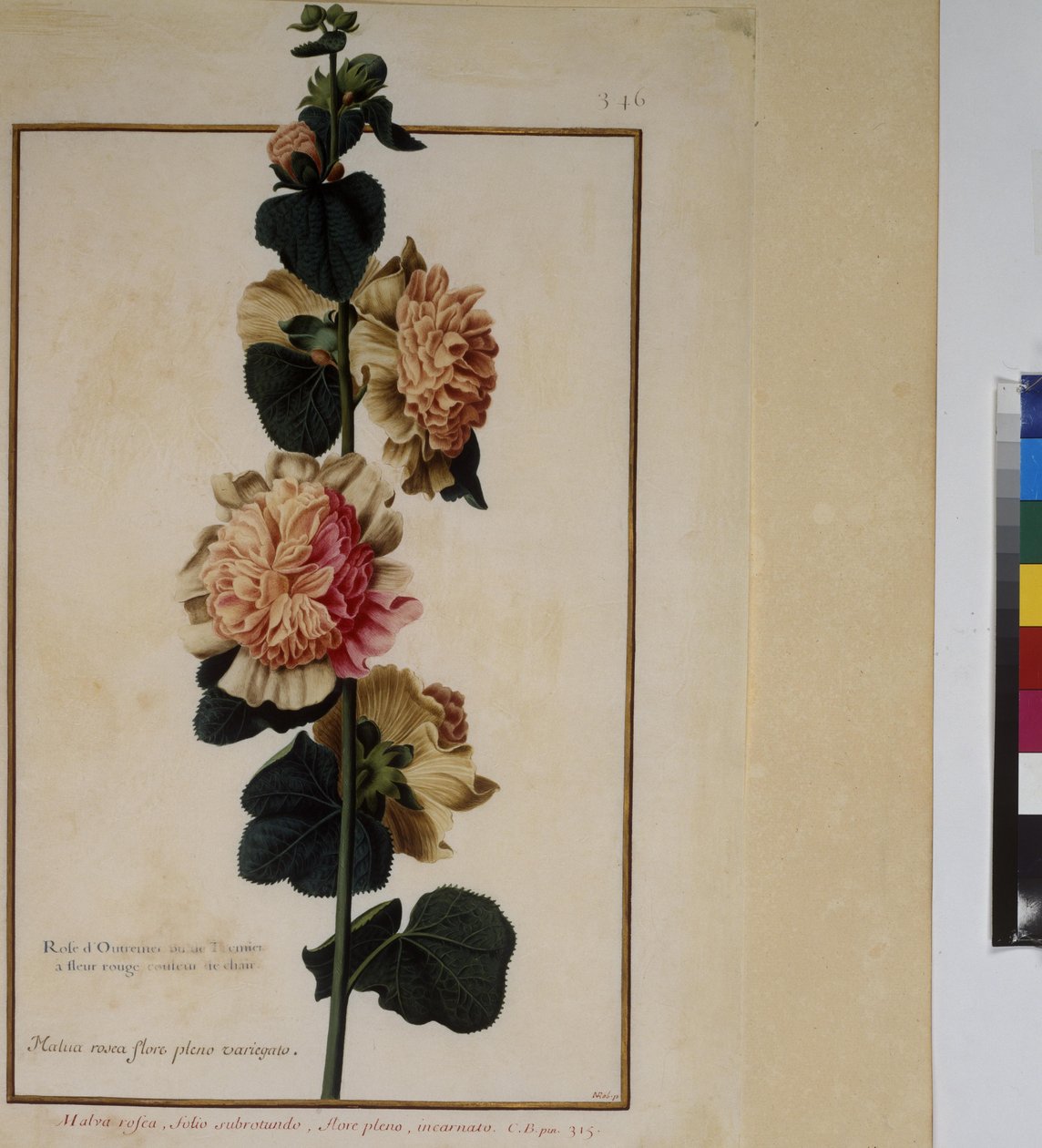  بواسطة إريك ليسينج