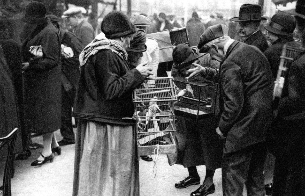 مجموعة من مشتري الكناري ، باريس ، 1931. بواسطة إرنست فلاماريون