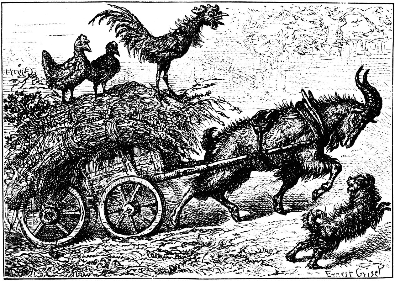 رسم توضيحي من كتاب الأطفال Little Bo-Peep ، c1880. بواسطة إرنست هنري جريسيت