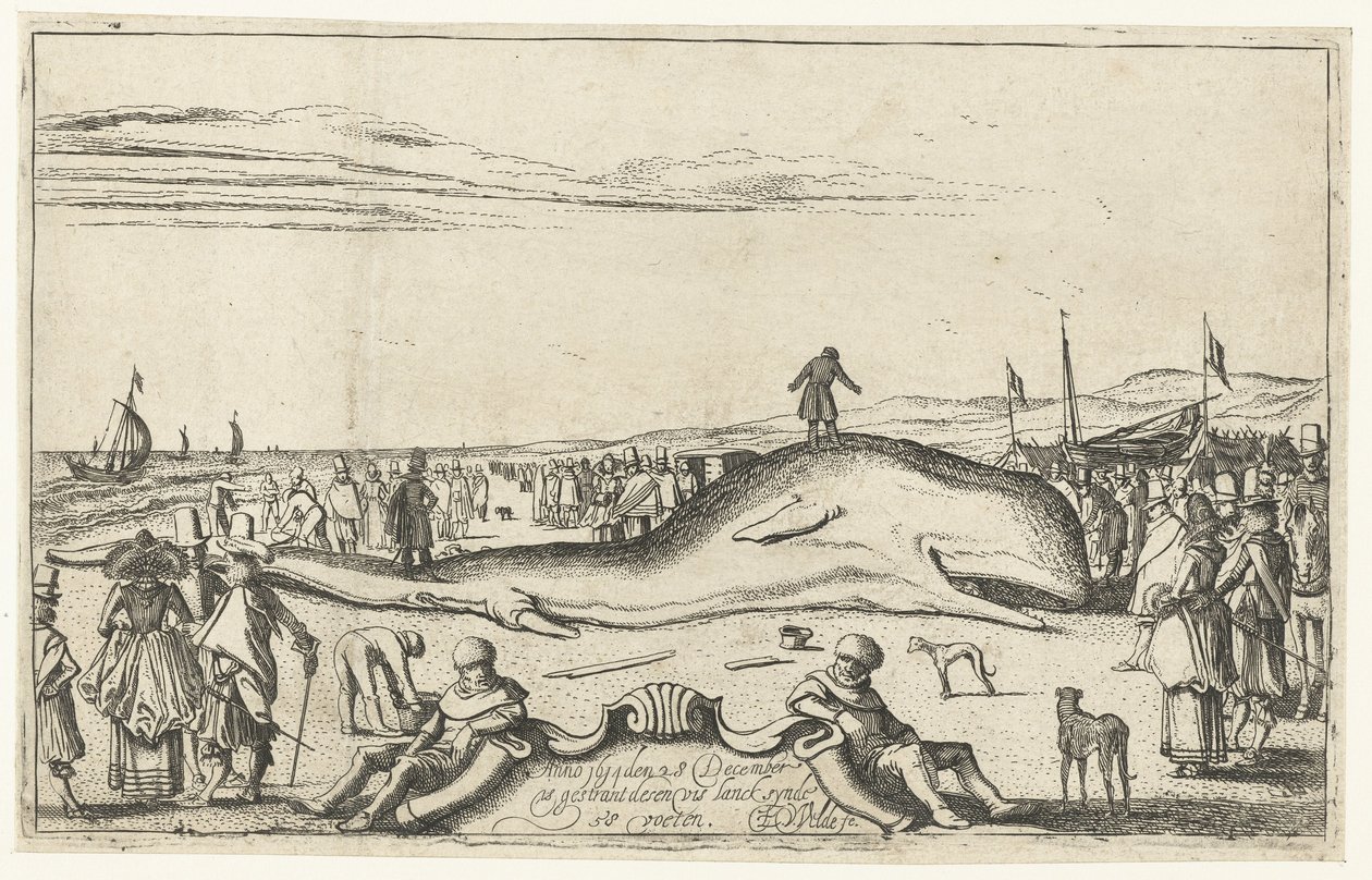 حوت تقطعت به السبل على الشاطئ في Noordwijk ، 1614 بواسطة Esaias van de Velde