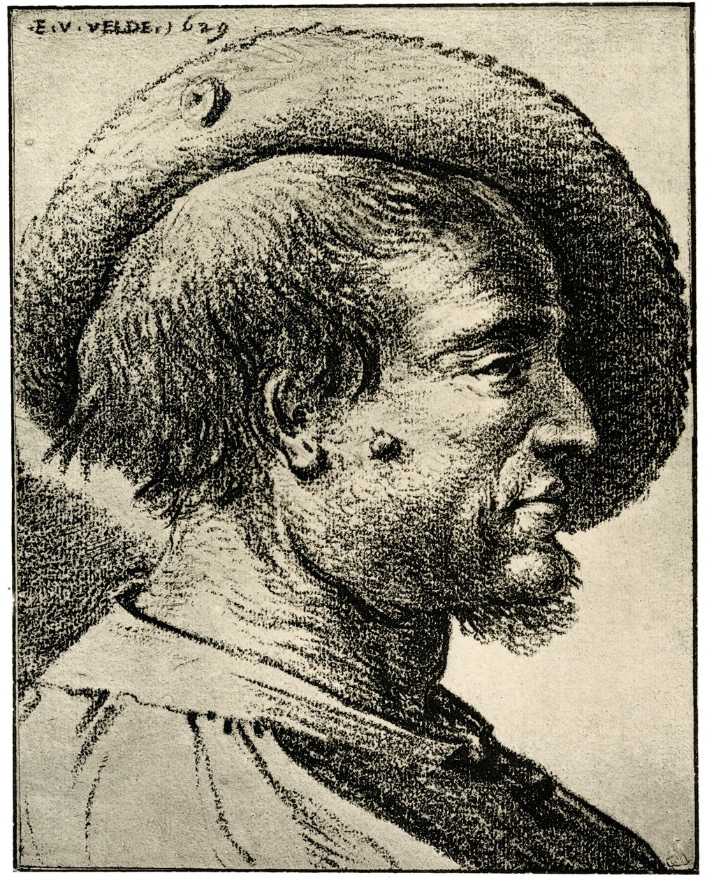 دراسة الرأس من الذكور بواسطة Esaias van de Velde