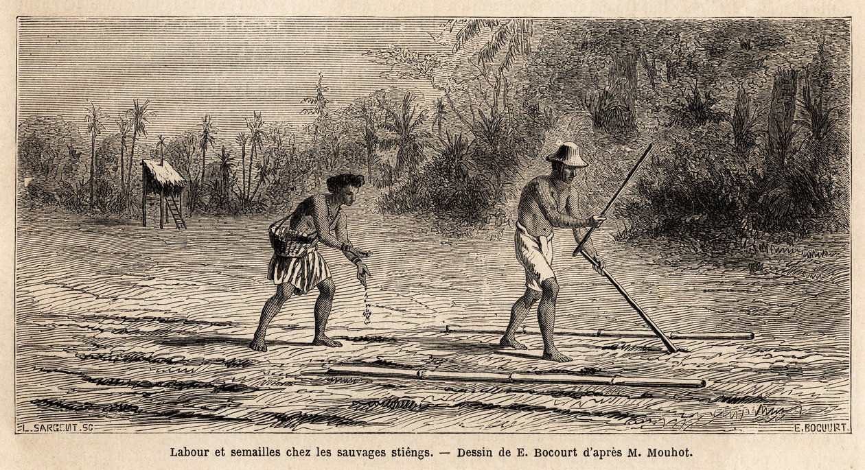 الحرث والبذر بين المتوحشين Stiengs ، سكان غابات كمبوديا ، رسم بواسطة E.Bocour ، لتوضيح رحلة Henri Mouhot عبر ممالك سيام وكمبوديا ولاوس من 1858 إلى 1861. نقش في "" Le tour du monde " ، تم تحريره بواسطة إتيان غابرييل بوكورت