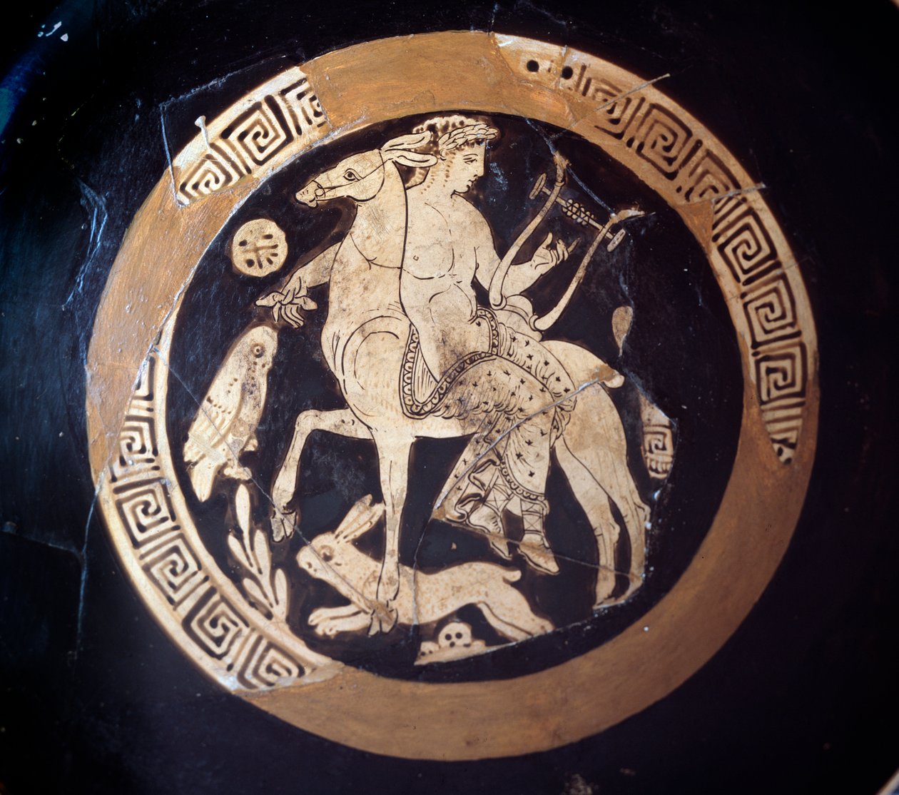 Kylix مع تمثيل Apollon على mulet ، الطين ، القرن الرابع قبل الميلاد بواسطة إتروسكان