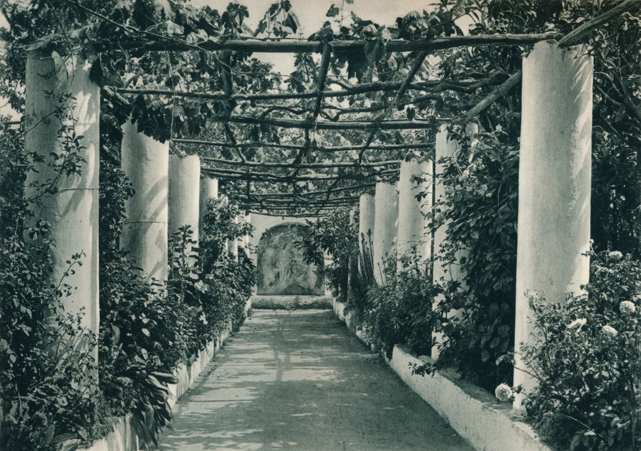 العريشة في كرم ، كابري ، إيطاليا ، 1927 بواسطة يوجين بوبيل