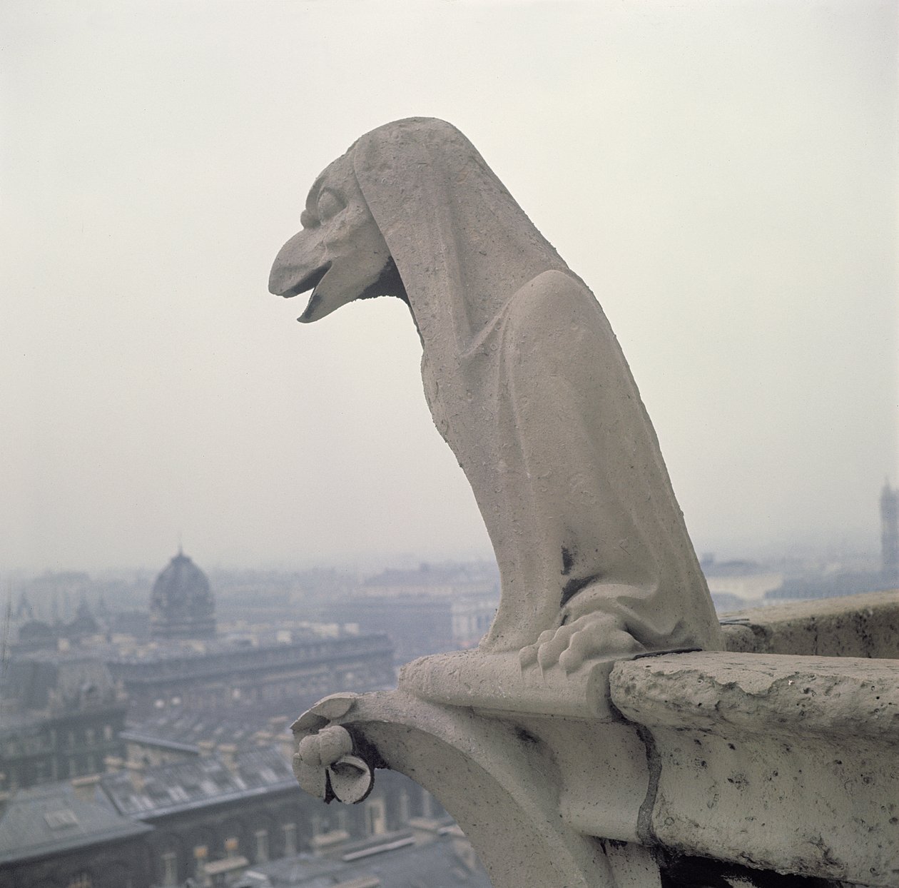Gargoyle على الدرابزين من Grande Galerie ، نسخة طبق الأصل من القرن الثاني عشر الأصلي بواسطة يوجين إيمانويل فيوليت لو دوك