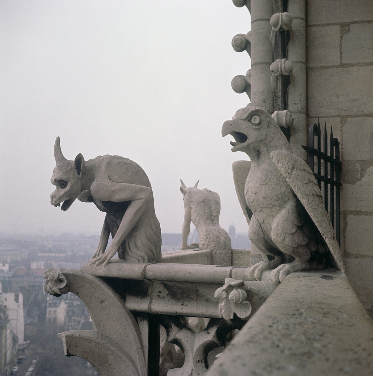 Gargoyles على الدرابزين من Grande Galerie ، نسخة طبق الأصل من القرن الثاني عشر الأصلي بواسطة يوجين إيمانويل فيوليت لو دوك