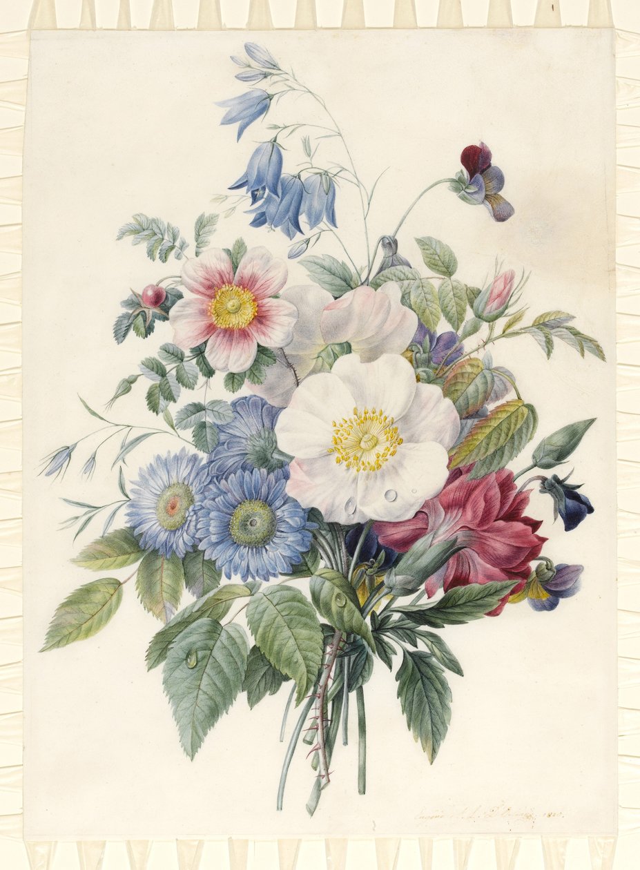 Blue Asters ، Rosa Spinosissima Hybrid ، Harebell ، Violas ، Cartnation and a Wild Rose ، 1820 (مرحاض & bodycolour عبر مخطط الجرافيت على الرق) بواسطة يوجين AL d أورليانز