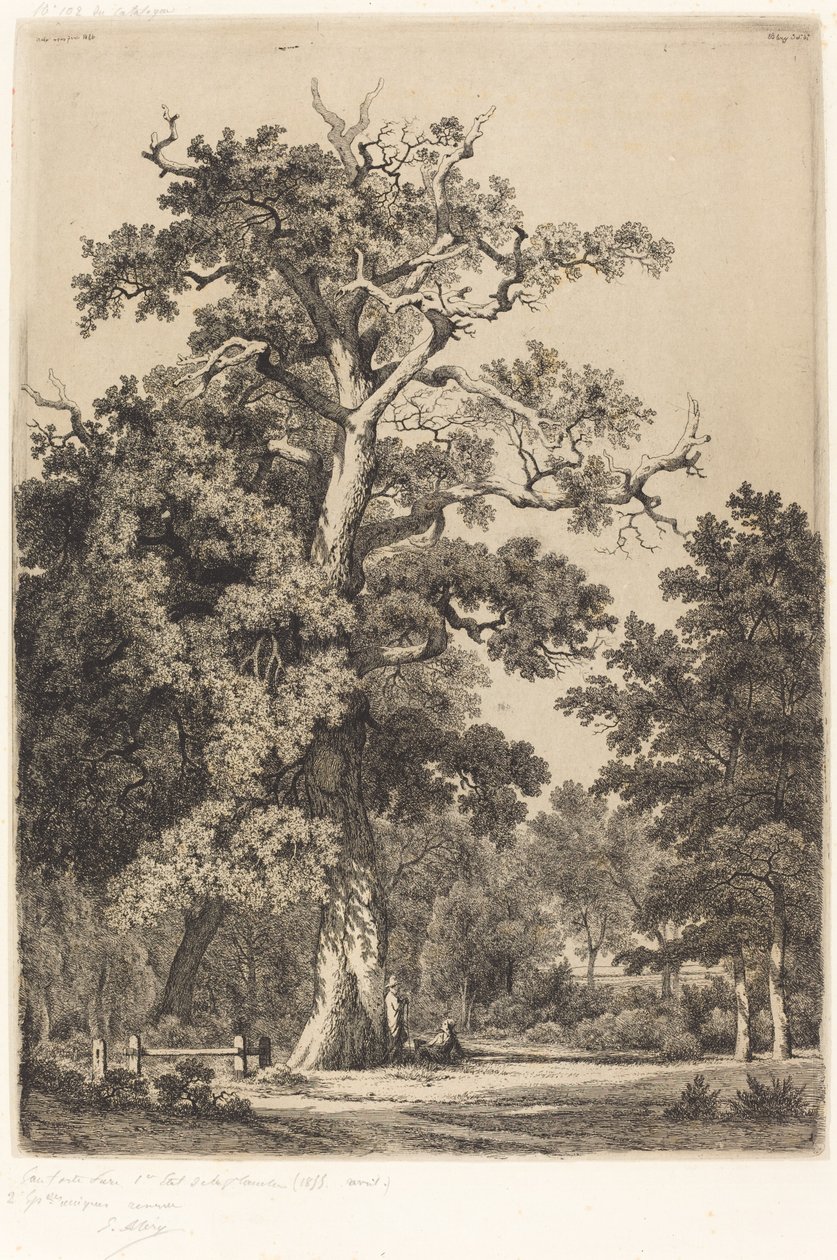 البلوط القديم في Bois de Boulougne بواسطة يوجين بليري