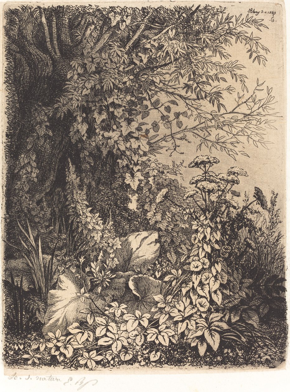 La bardane au saule Burdock with Willow ، نُشر عام 1849. بواسطة يوجين بليري