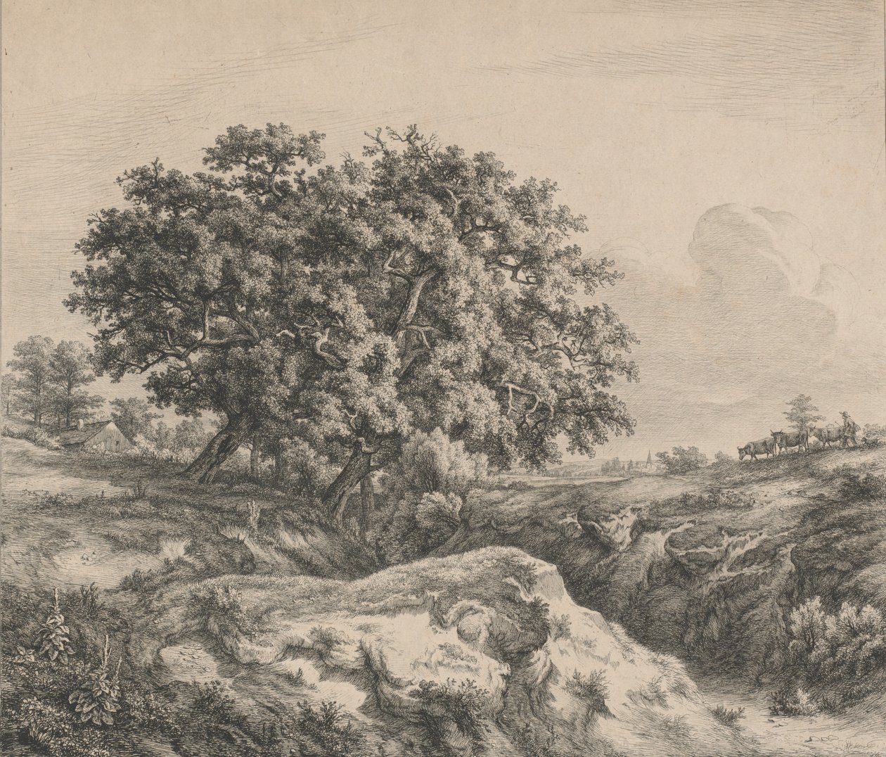 شجرة البلوط بواسطة رافين ، 1845. بواسطة يوجين بليري