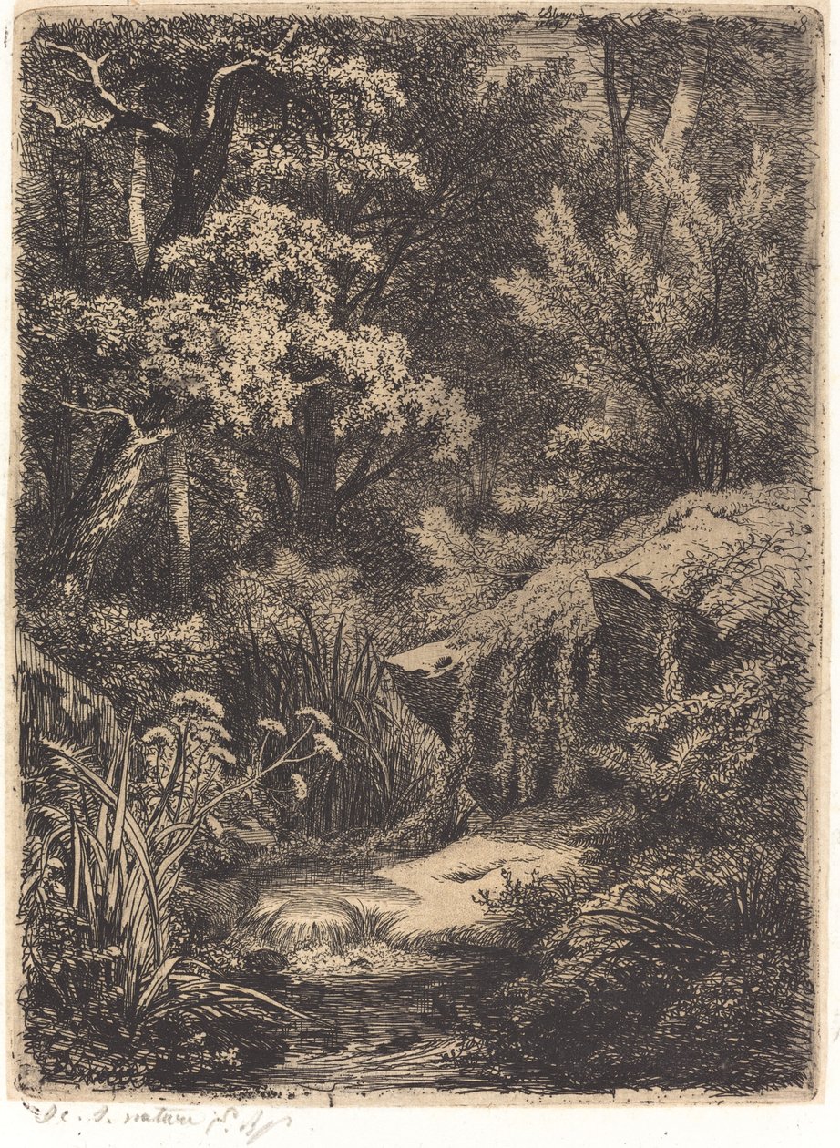 Le petit ruisseau The Little Brook ، تم نشره عام 1849. بواسطة يوجين بليري