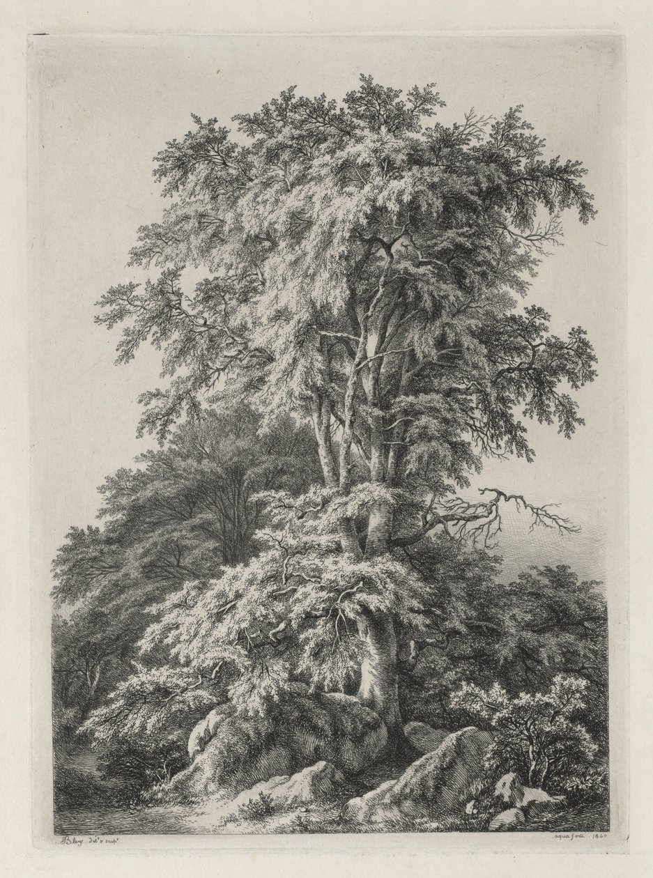 دراسات مرسومة ونقشت بعد الطبيعة: الشاطئ ، Fontainbleau ... ، 1840. بواسطة يوجين بليري