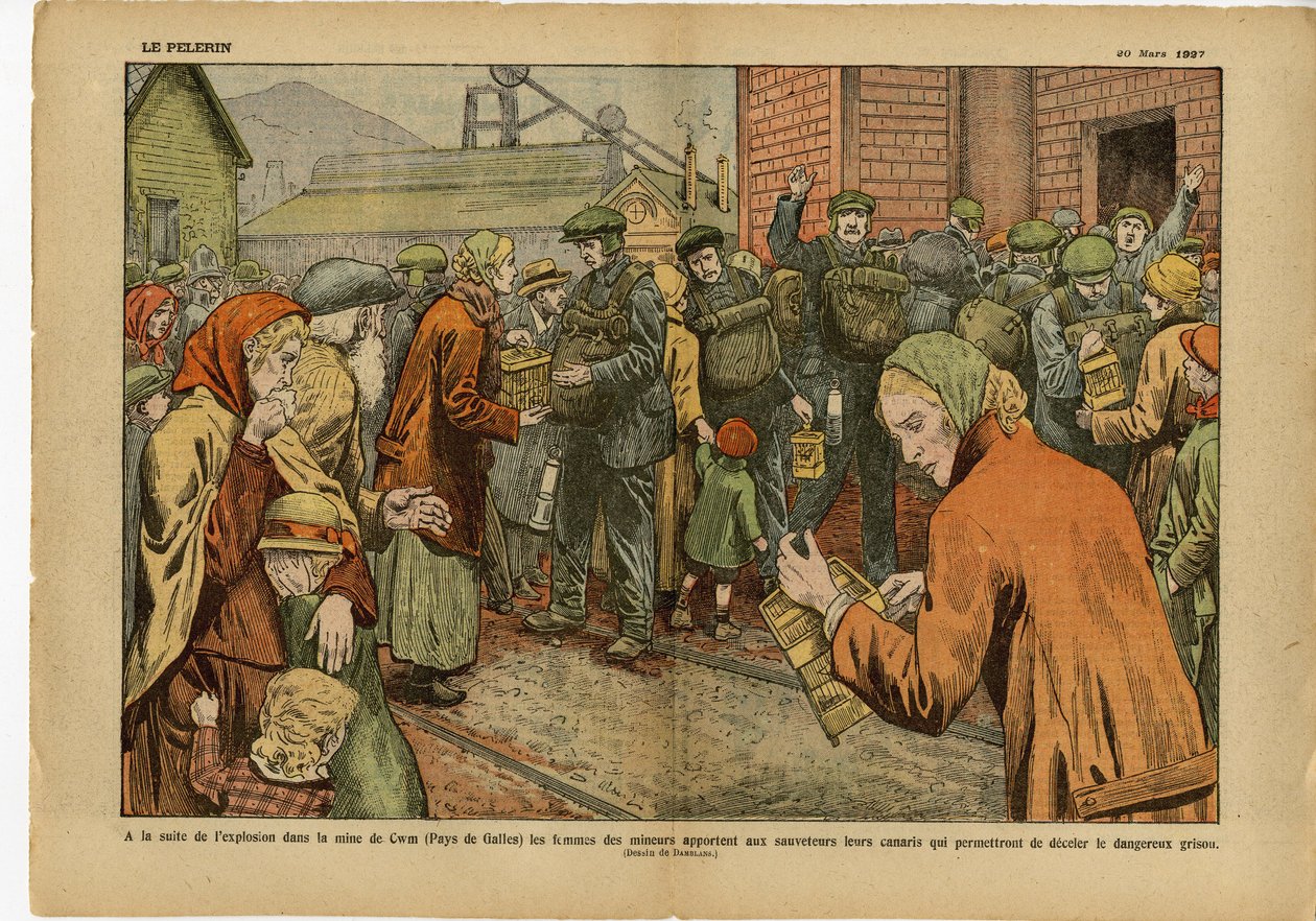 رسم توضيحي لـ Eugene Damblans (1865-1945) في Le Pelerin ، 20/03/27 - في أعقاب الانفجار في منجم ... تجلب نساء عمال المناجم إلى رجال الإنقاذ جزر الكناري التي تسمح بردع الاشتعال الخطير - إنجلترا بريطانيا العظمى والتعدين والصناعة في بواسطة يوجين دامبلانز