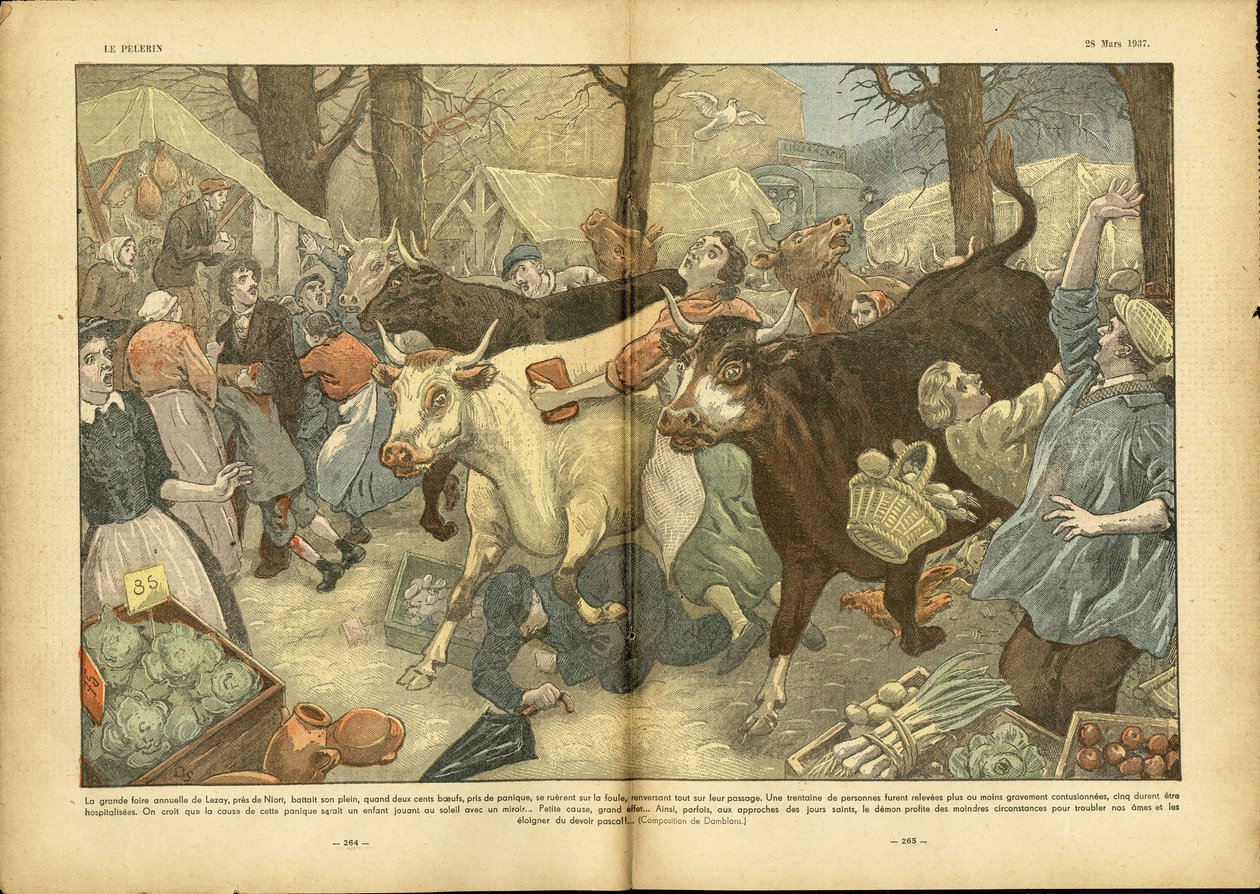 رسم توضيحي لـ Eugene Damblans (1865-1945) في Le Pelerin ، 28/03/37 - معرض Lezay السنوي الكبير بالقرب من Niort - حقائق متنوعة ، اقتصاد ، حشد ، متاجر ، زراعة ، بقوليات - بقرة ، لحم بقر ، كاميلوت بائع متجول بواسطة يوجين دامبلانز