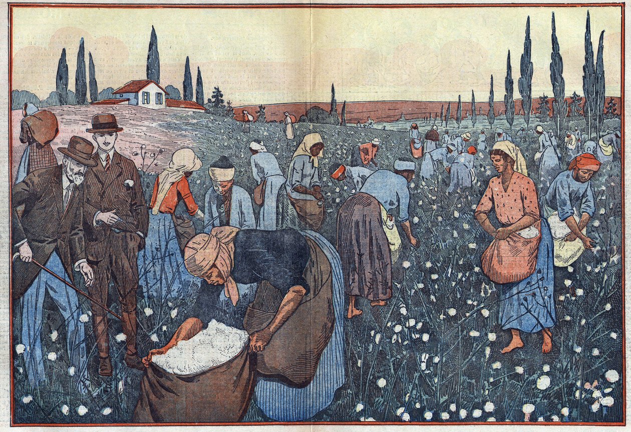 محصول القطن بالقرب من أورلينفيل بوادي الشليف بالجزائر. رسم توضيحي لـ Damblans. في "" Le Pelerin "بتاريخ 23 فبراير بواسطة يوجين دامبلانز