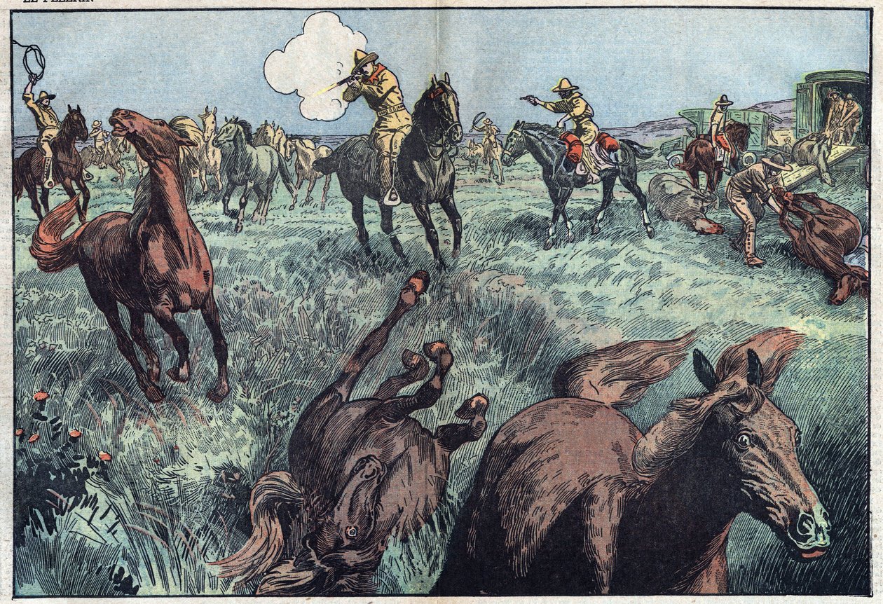 يتم ذبح الخيول البرية في الولايات المتحدة. رسم توضيحي لـ Damblans. في "" Le Pelerin "بتاريخ 31 يناير بواسطة يوجين دامبلانز
