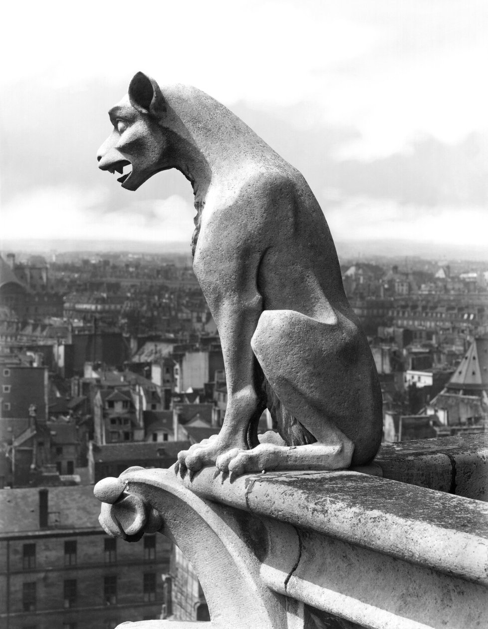 Gargoyle من الدرابزين الخاص بـ Grande Galerie للواجهة الغربية ، نسخة طبق الأصل من القرن الثاني عشر الأصلي (الحجر) (b / w photo) بواسطة يوجين إيمانويل فيوليت لو دوك