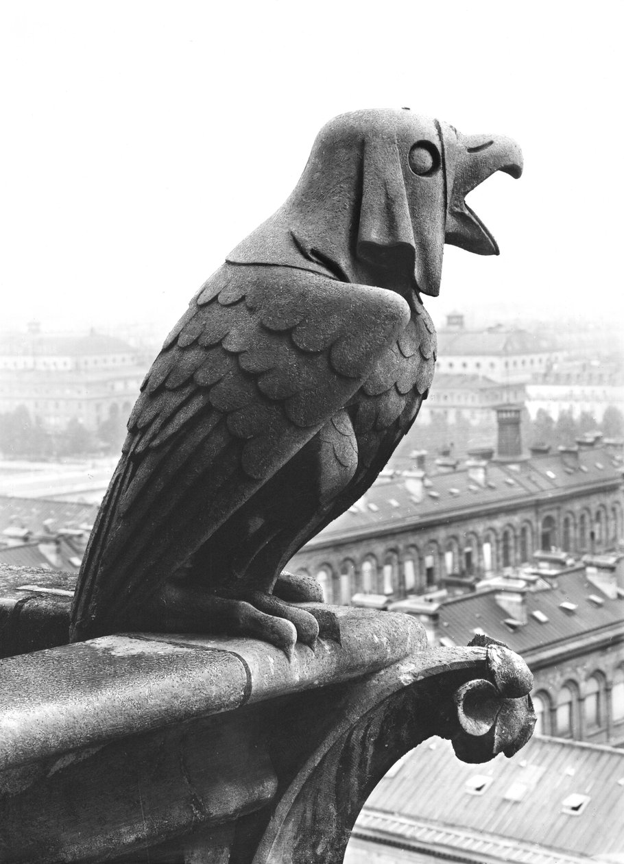 Gargoyle من الدرابزين الخاص بـ Grande Galerie للواجهة الغربية ، نسخة طبق الأصل من القرن الثاني عشر الأصلي (الحجر) (b / w photo) بواسطة يوجين إيمانويل فيوليت لو دوك