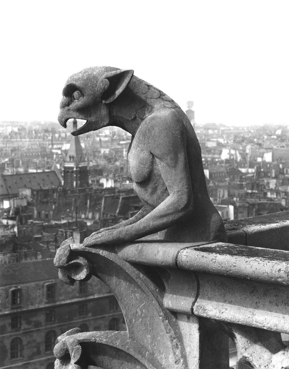 Gargoyle من الدرابزين الخاص بـ Grande Galerie للواجهة الغربية ، نسخة طبق الأصل من القرن الثاني عشر الأصلي (الحجر) (b / w photo) بواسطة يوجين إيمانويل فيوليت لو دوك