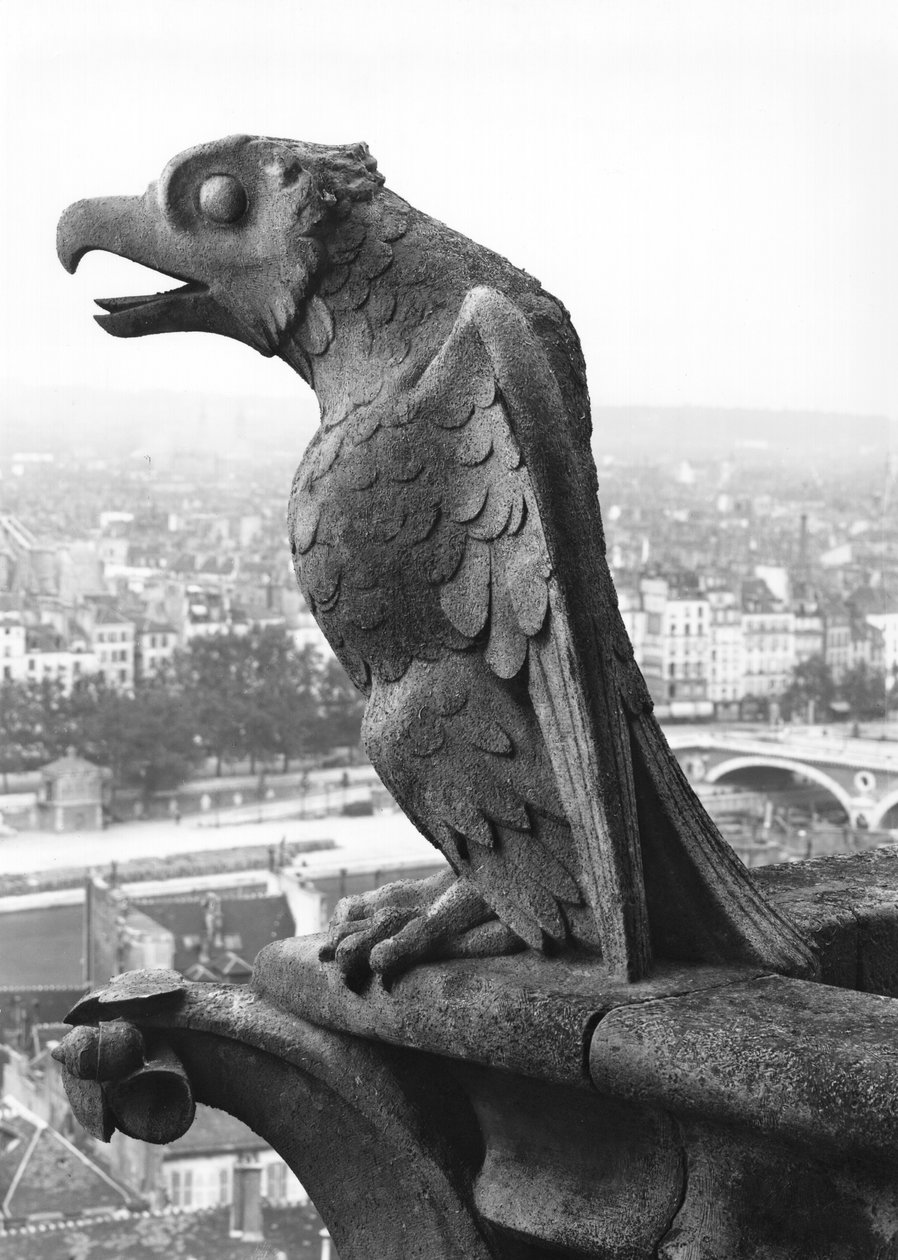 Gargoyle من الدرابزين الخاص بـ Grande Galerie للواجهة الغربية ، نسخة طبق الأصل من القرن الثاني عشر الأصلي (الحجر) (b / w photo) بواسطة يوجين إيمانويل فيوليت لو دوك