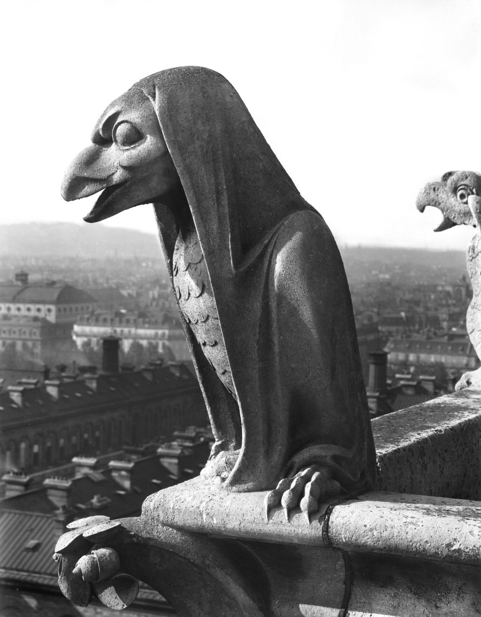 Gargoyle من الدرابزين الخاص بـ Grande Galerie ، نسخة طبق الأصل من القرن الثاني عشر (حجر) (صورة بالأبيض والأسود) بواسطة يوجين إيمانويل فيوليت لو دوك