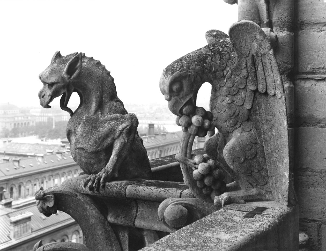 Gargoyles من الدرابزين الخاص بـ Grande Galerie للواجهة الغربية ، نسخة طبق الأصل من القرن الثاني عشر الأصلي (الحجر) (b / w photo) بواسطة يوجين إيمانويل فيوليت لو دوك