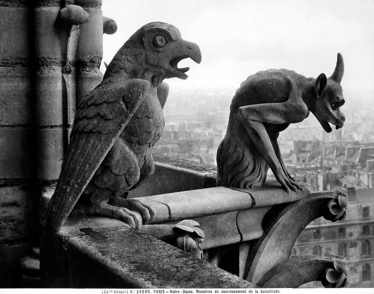 Gargoyles من الدرابزين الخاص بـ Grande Galerie للواجهة الغربية ، نسخة طبق الأصل من القرن الثاني عشر الأصلي (الحجر) (b / w photo) بواسطة يوجين إيمانويل فيوليت لو دوك