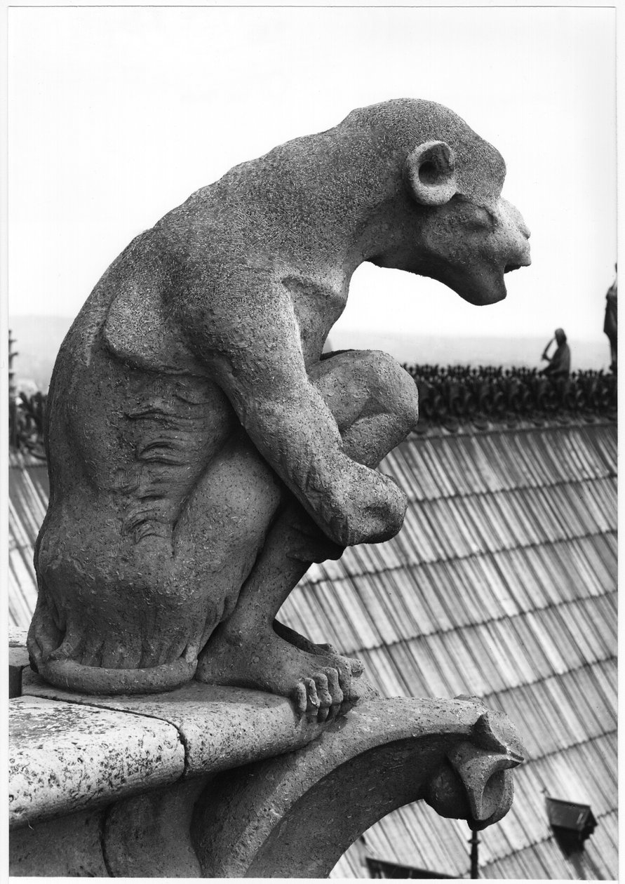 Monkey gargoyle ، من درابزين Grande Galerie للواجهة الغربية ، نسخة طبق الأصل من القرن الثاني عشر (حجر) (صورة بالأبيض والأسود) بواسطة يوجين إيمانويل فيوليت لو دوك