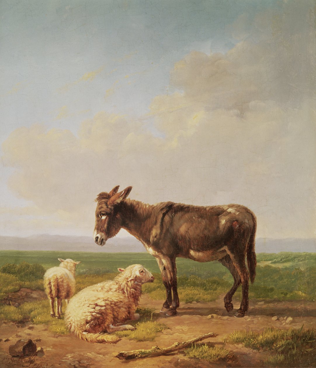 الحمار والأغنام ، 1849 (زيت) بواسطة يوجين جوزيف فيربويكوفن