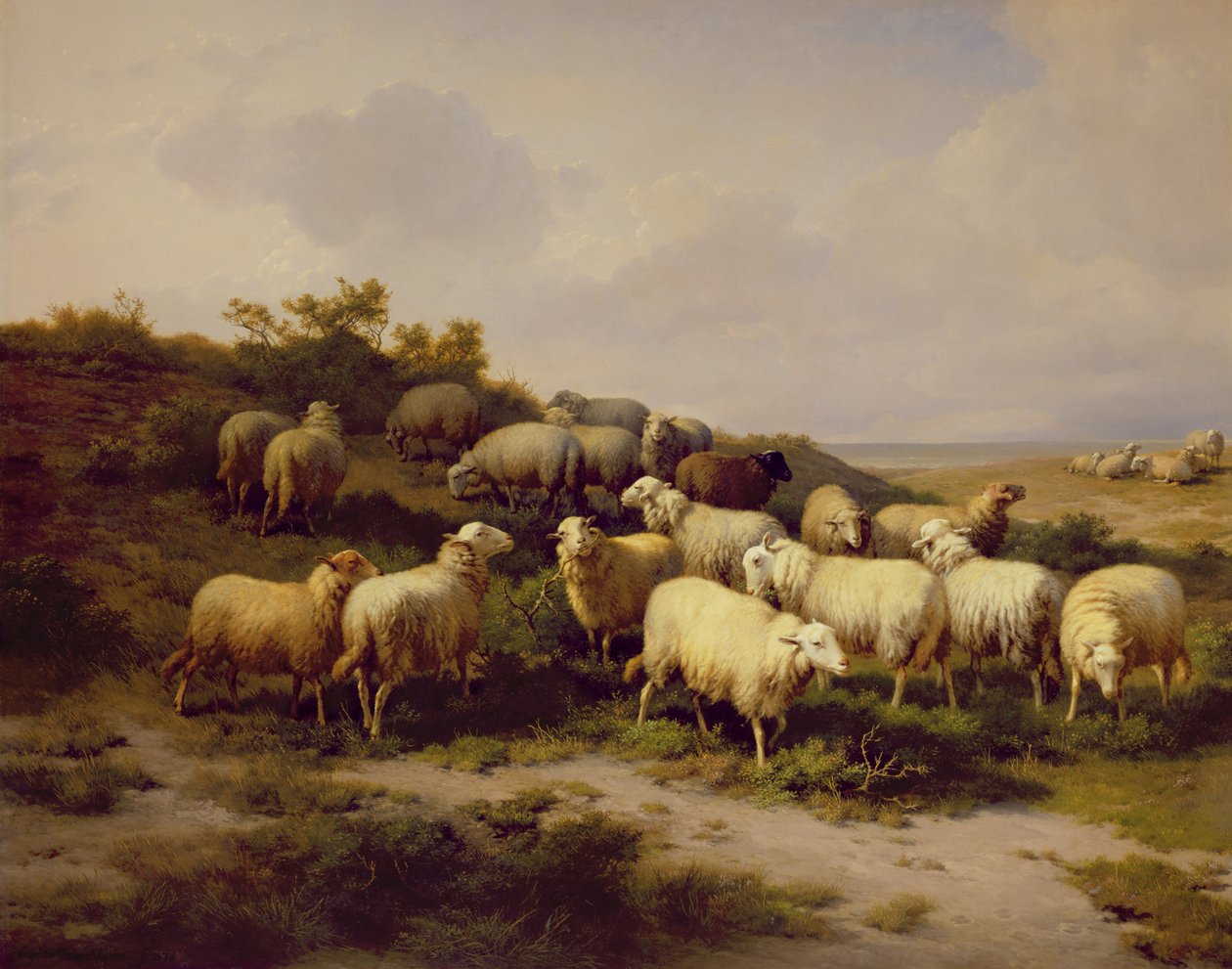 غنم على الساحل ، 1878 بواسطة يوجين جوزيف فيربويكوفن
