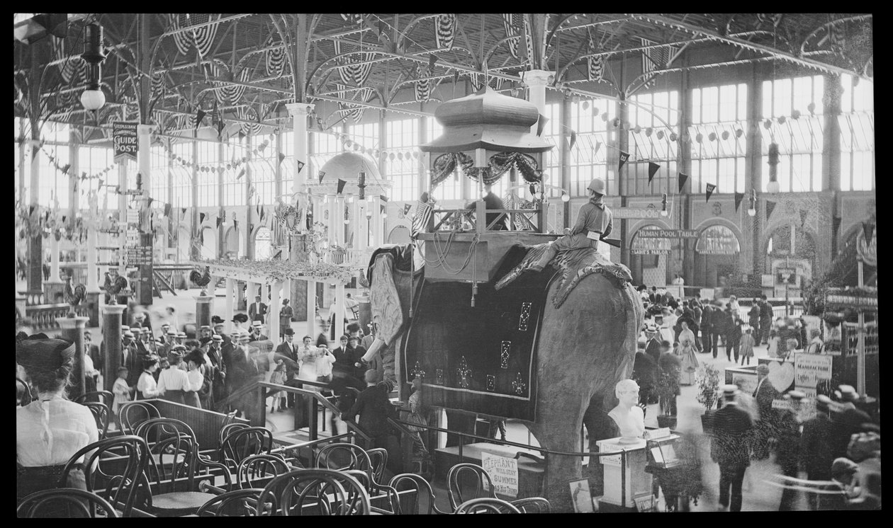 Steeplechase Park ، Coney Island ، 1910 (نترات سلبية) بواسطة يوجين ويملينجر