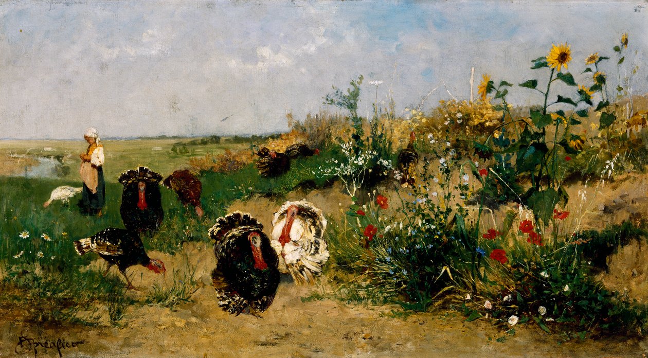 Turkeys بواسطة أوجينيو سبريفكو