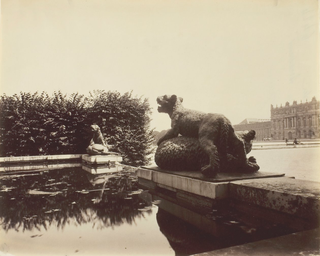 فرساي ، Fontaine du Point du Jour ، Tiger Slaying a Bear بقلم هوزو ، 1903. بواسطة يوجين أتيج