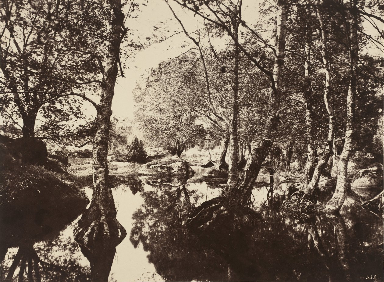 بيل كروا ، 1860. بواسطة يوجين كوفيلير