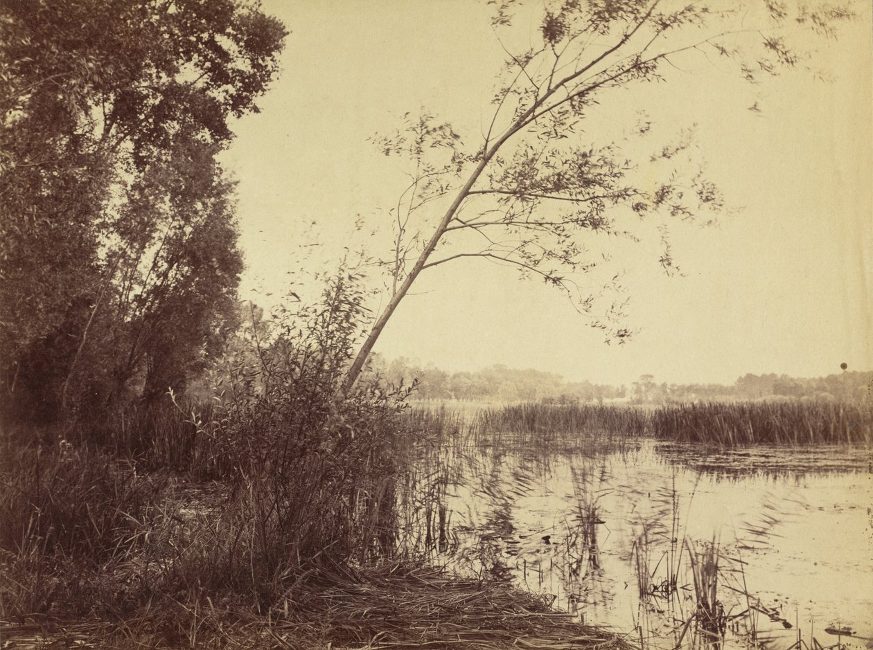 Marais de Fampoux ، أوائل ستينيات القرن التاسع عشر. بواسطة يوجين كوفيلير