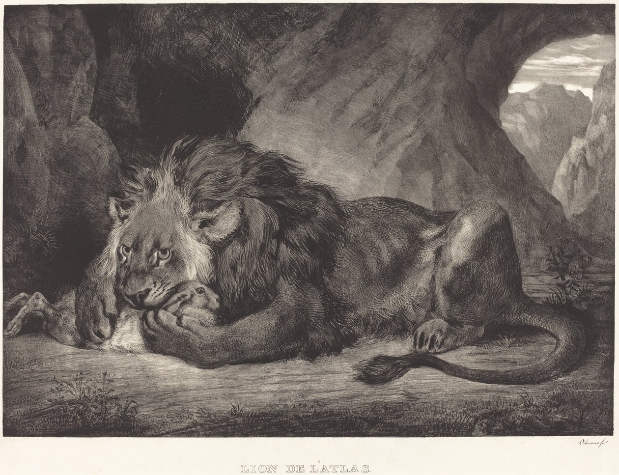 أسد جبال الأطلس (Lion de l'Atlas) بواسطة يوجين ديلاكروا