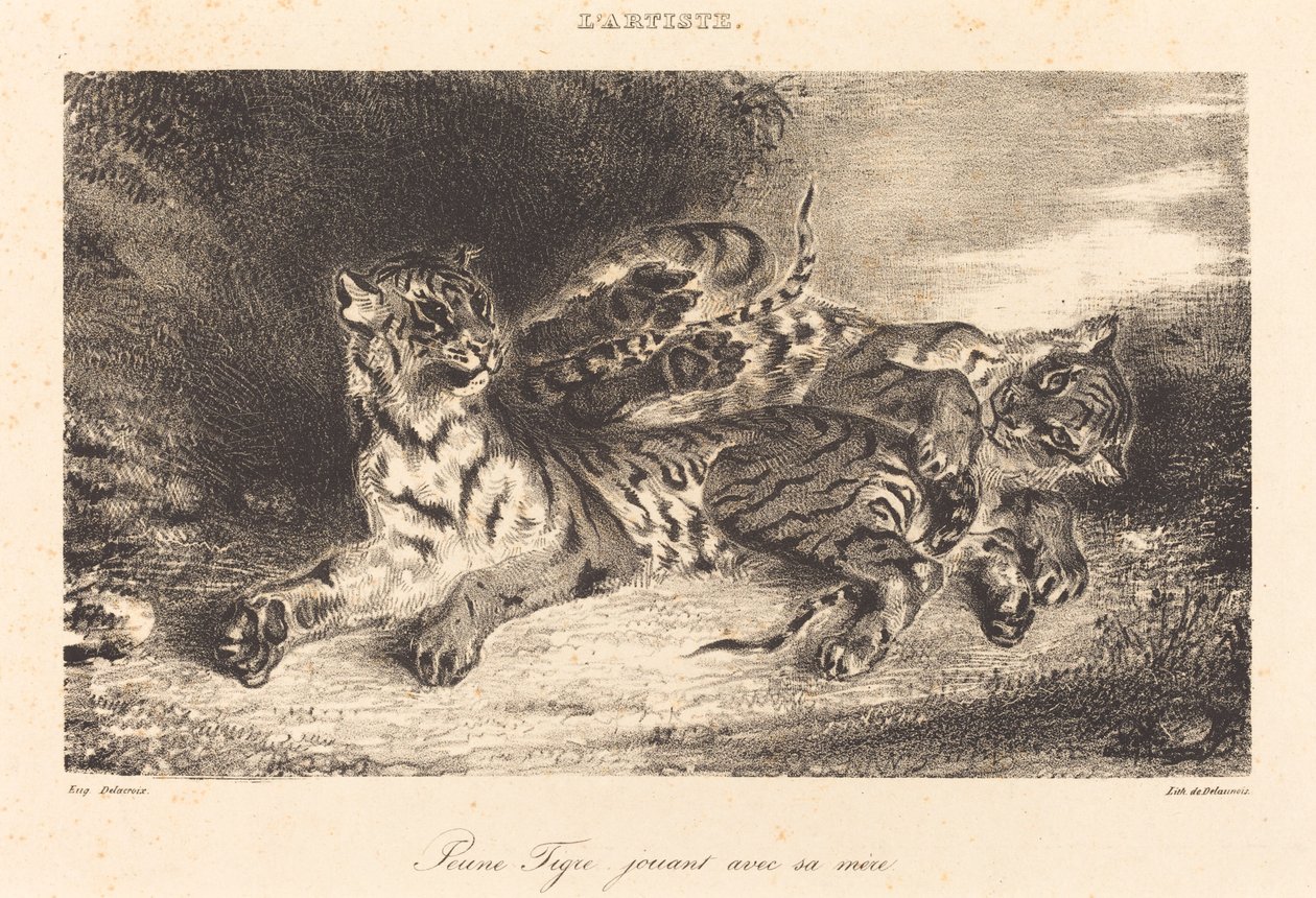 النمر الصغير يلعب مع أمه النمر الصغير يلعب مع أمه ، 1831. بواسطة يوجين ديلاكروا