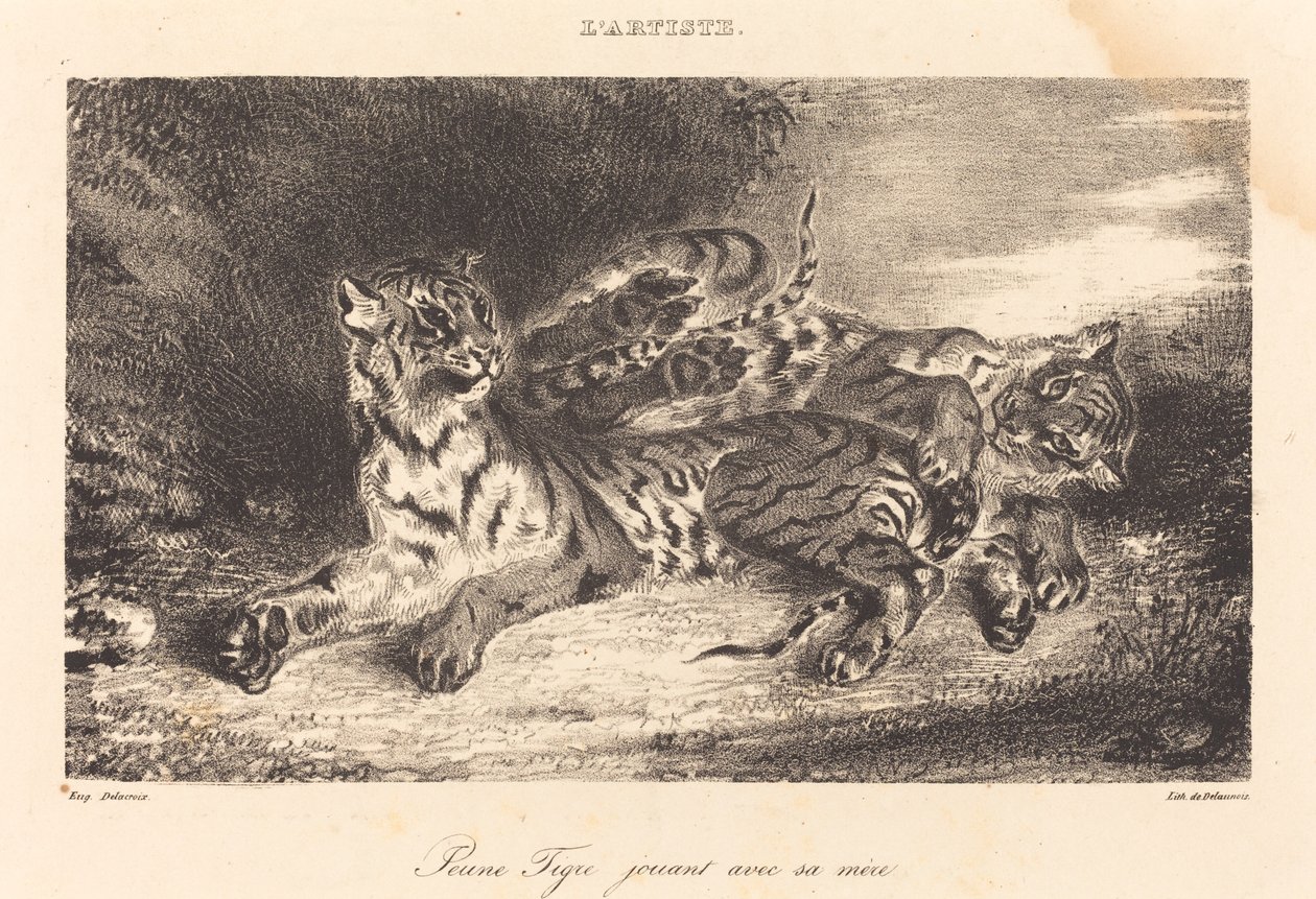 النمر الصغير يلعب مع أمه النمر الصغير يلعب مع أمه ، 1831. بواسطة يوجين ديلاكروا