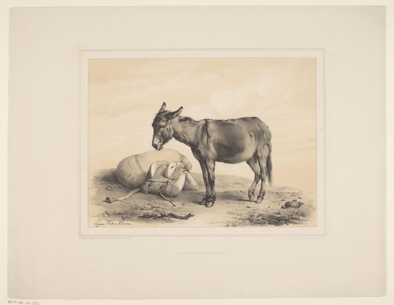 Rustende pakezel Diverse dieren (عنوان المسلسل) دراسات الحيوان (عنوان السلسلة) بواسطة يوجين فيربويكوفن