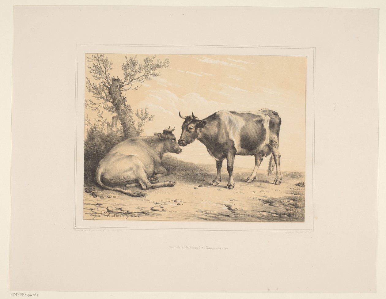 بقرتان حيوانات مختلفة (عنوان السلسلة) Études d'Animaux (عنوان السلسلة) بواسطة يوجين فيربويكوفن
