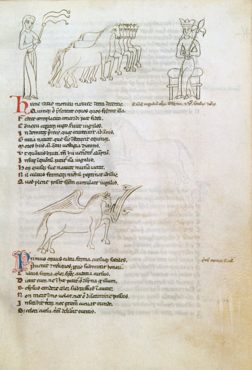 Bestiary: الحصان (حبر على الرق) بواسطة المدرسة الأوروبية