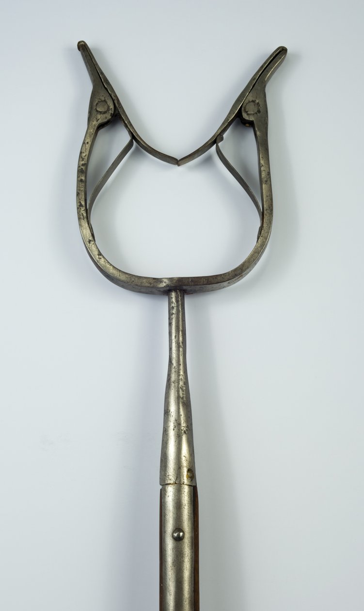 Catchpole (الصلب والحديد والخشب) بواسطة المدرسة الأوروبية